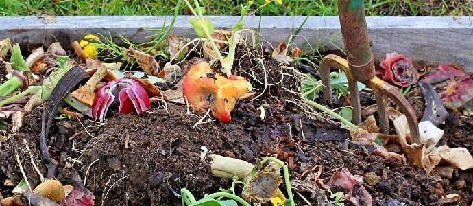 Composting Food scrapes and yard waste make up to 20-30% of what