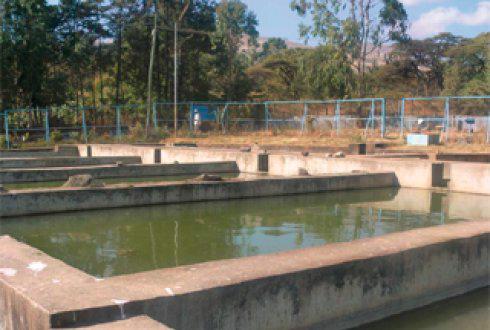 1.2 The different uses of water Figure 1.7 A fish farm. 1.2.7 Recreationa use Water pays an important roe in recreationa activities and here again it is not consumed in the process of its use.