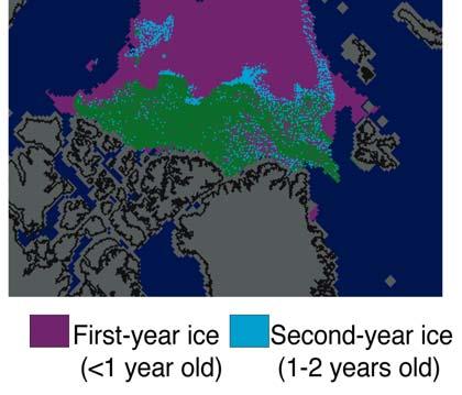 global average Arctic summer