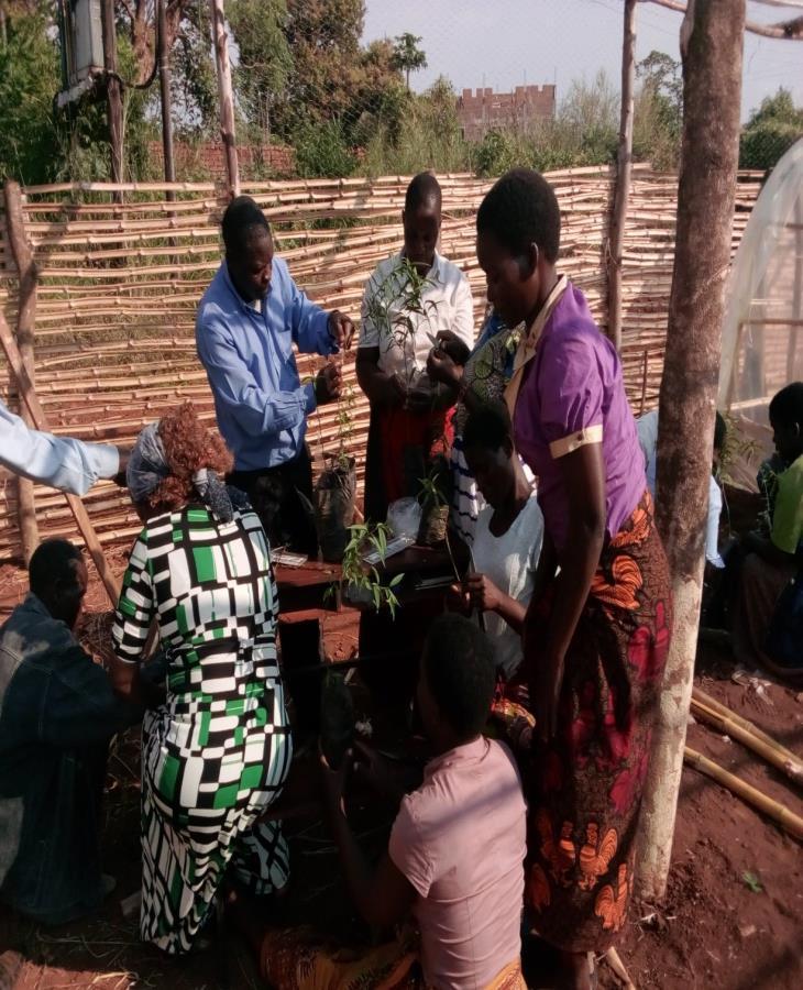 PROGRESS MADE IN ENVIRONMENTAL SUSTAINABILITY PILLAR Environmental conservation and income diversification Tree nurseries: 12 mini tree nurseries piloted this year FFS & Primary Schools 32 lead
