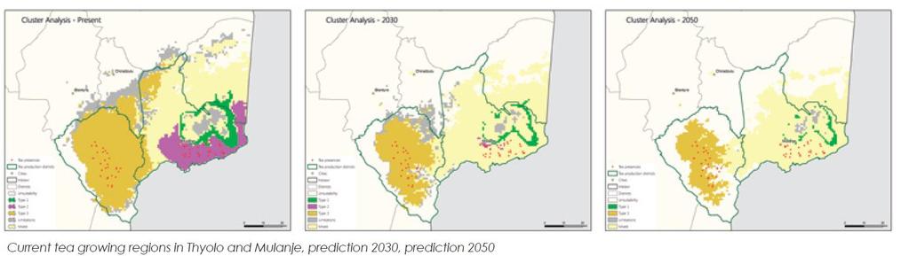 PROGRESS MADE IN ENVIRONMENTAL SUSTAINABILITY PILLAR Climate Change Adaptation CIAT climate change maps have been presented to producers by UTZ Temperature increases of 2C and unpredictable rainfall