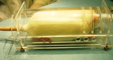 SOP: INTRAVENOUS INJECTIONS IN THE RAT i. Ketamine (90-120mg/kg) + Xylazine (8-12mg/kg) combination a) Intramuscular, subcutaneous, or intraperitoneal injection 3. Topical opthalmic anesthetic (e.g., Proparacaine Hydrochloride Ophthalmic Solution) h.