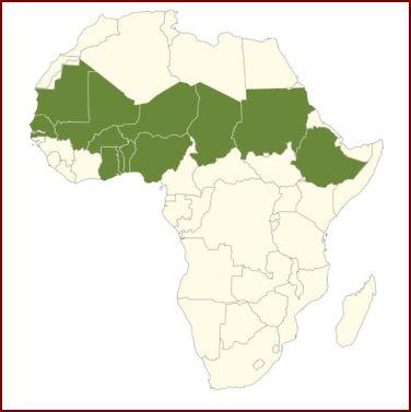 Sahel and West Africa Program (SAWAP) in Support of the Great Green Wall Initiative Using landscape approaches for climate resilience, food and water