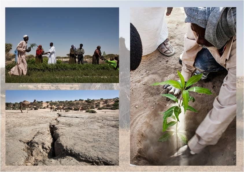CHAD Emergency Agriculture Production, Land and Water $69M total financing out of which $34M is direct financing.