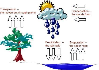 Precipitation is when water leaves the atmosphere Temperature & air pressure (ABIOTIC FACTORS) determine how much water can be stored