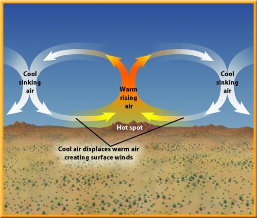 Abiotic Factors 1 Wind Colder air sinks below warmer air and