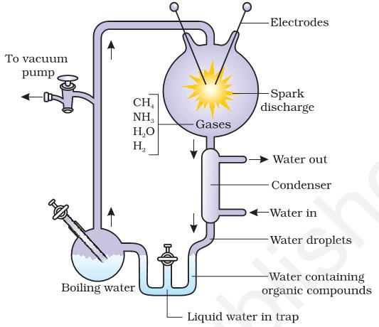 They created electric discharge in a closed flask containing CH4, H2, NH3 and water vapour at 800 0 C. He observed formation of amino acids.