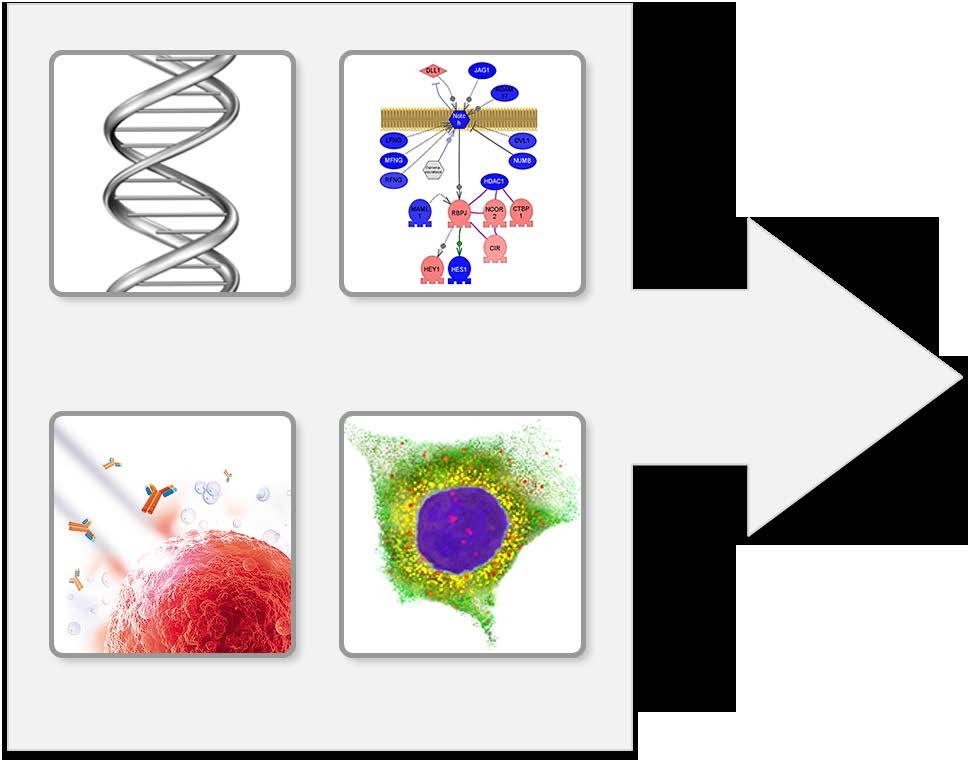 Genotyping Biobanks Single-cell analysis