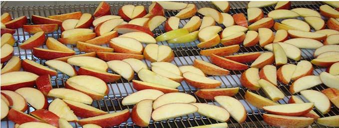 APPLE Coating and Dewatering