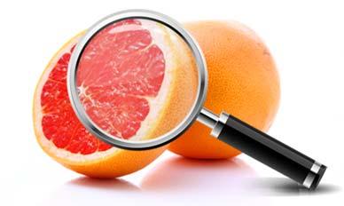 ARRIVAL OF RAW MATERIAL Fresh-cut fruits are highly perishable due to