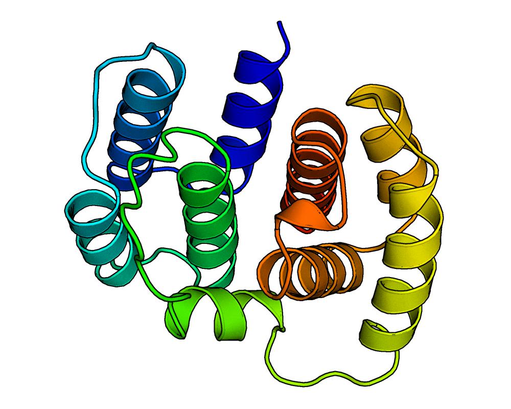 M1 Protein Influenza