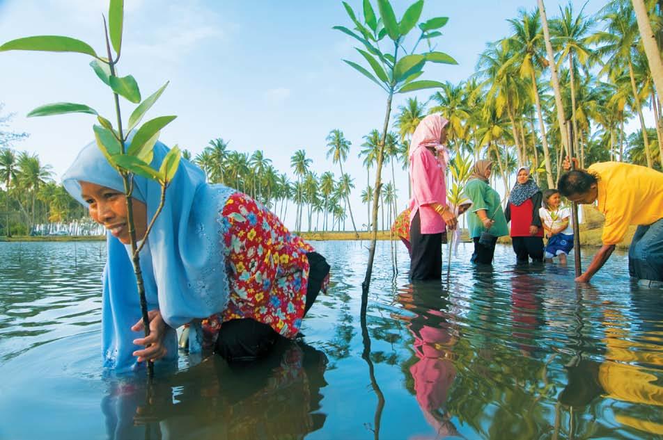 local communities Environmental protection for future generations Women, Guardians of Setiu Wetlands The Nestlé and WWF-Malaysia Setiu Sustainable Development project has two objectives - to