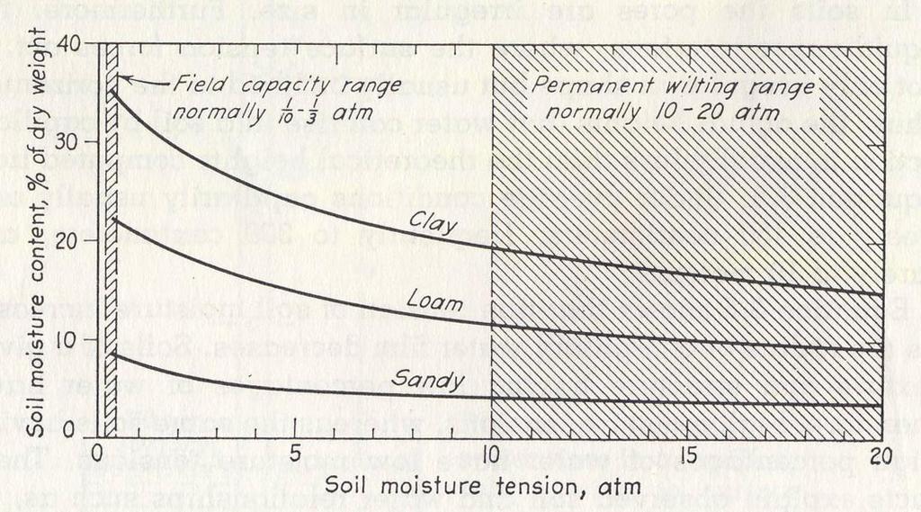 Fig: Typical curves of soil