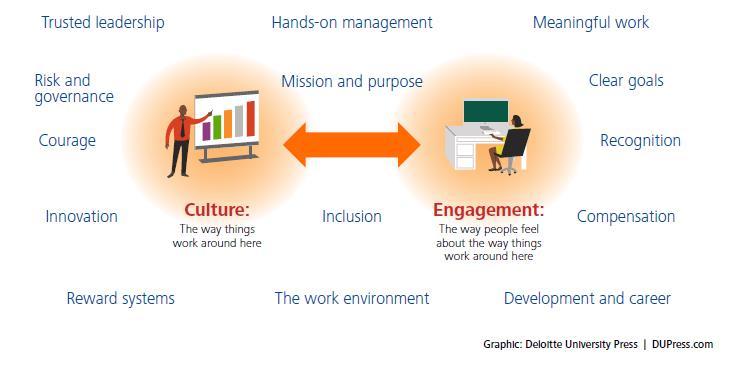 Culture and Engagement