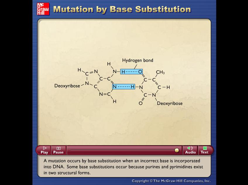 Here s an example of a single point substitution (SNP) http://www.valdosta.