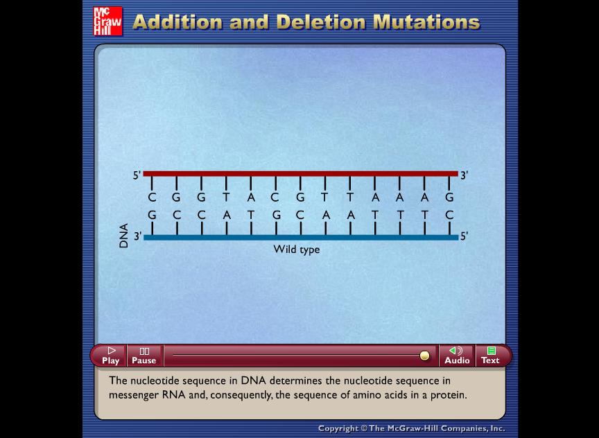 An animation illustrates a simple insertion or deletion mutation that can occur during DNA