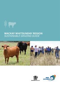 information they need with the launch of the new Mackay-Whitsunday Sustainable Grazing Guide.