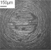 4 Optical microscope observation of AZ31B pin wear and disc wear track.