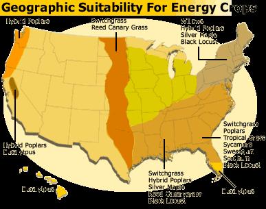 US Energy Cropland 8