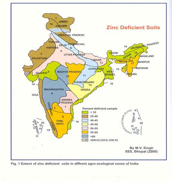 Technology 8: Extent of micro- and secondary nutrient deficiencies in Indian soils and their correction (i) Zinc Survey of Indian soils revealed that about 49% of 2.