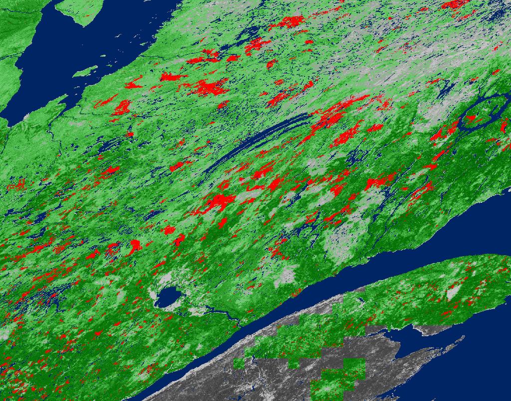 Annual forest cover loss in Quebec (Canada) 2005 2000 2001 2002 2003 2004 Cumulative areas of