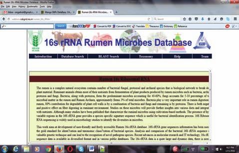 Research Achievements Web tools have been developed using PHP as server side scripting language, HTML and Java as client side scripting language and MYSQL as backend database for storing and