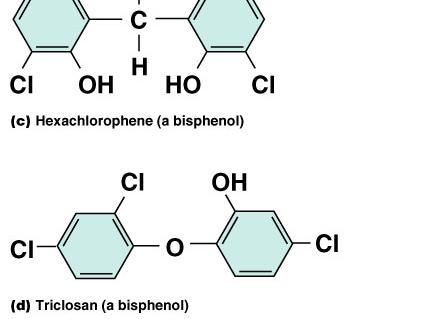 Phenol Phenolics. Lysol Bisphenols.
