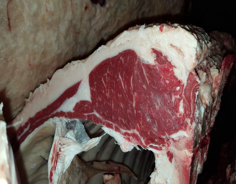 Making Beef Out of Dairy Dairy beef cross cattle have become an increasingly popular option for dairy farmers looking to capture additional market value on calves that aren t needed for the dairy