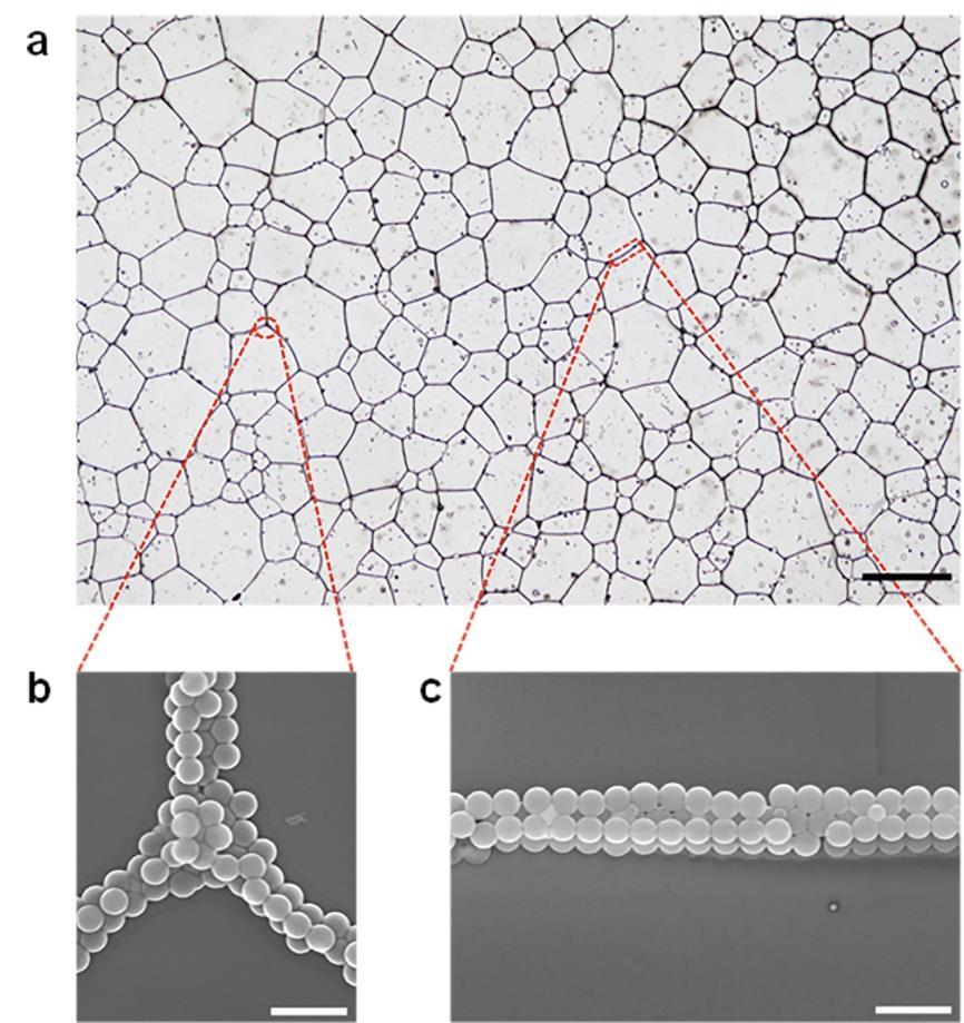 Supplementary Figure 14 Optical and SEM images of meshes composed polystyrene nanoparticle. b shows a joint, and c shows a line. The black/white sale bars: a, 200 μm; and b and c, 2 μm.