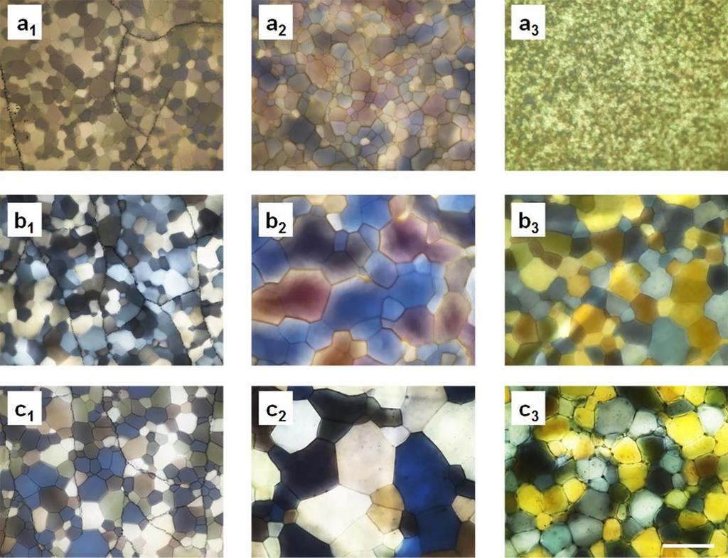 Supplementary Figure 5 Polarized optical microscopic images of polycrystalline ice crystals from a, NaF, b, NaBr and c, NaI with different