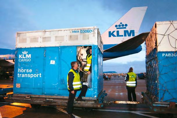 Schiphol SmartGate Cargo Flowers Flowers are one of the best known and most appealing of air cargo products.