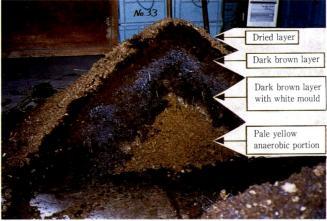 Temperature change in maturing process Cross section of compost pile before aeration 2.