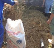 pig manure with rice straw,
