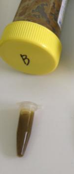 compost, stage I Sample B Rapid test for nutrient by