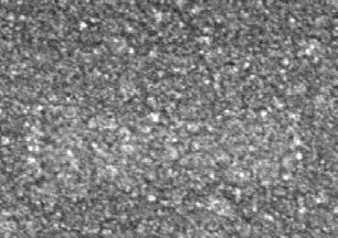 0 ~20nm Si particles observed film (21) Annealed at 1100 C Deposition rate: 0.