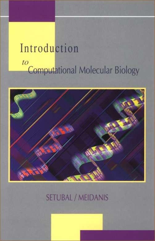 Computational Molecular Biology by João Setubal and João Meidanis.