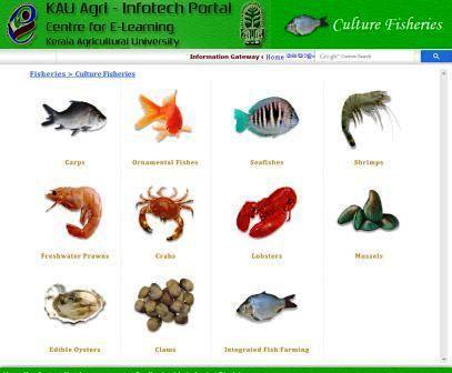 Fisheries Fisheries