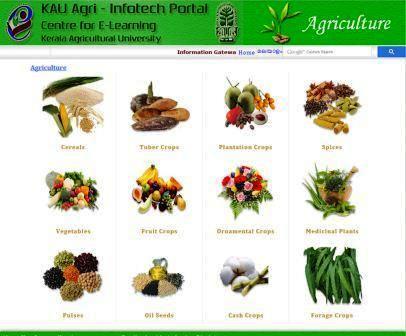 Agriculture Categorized crop