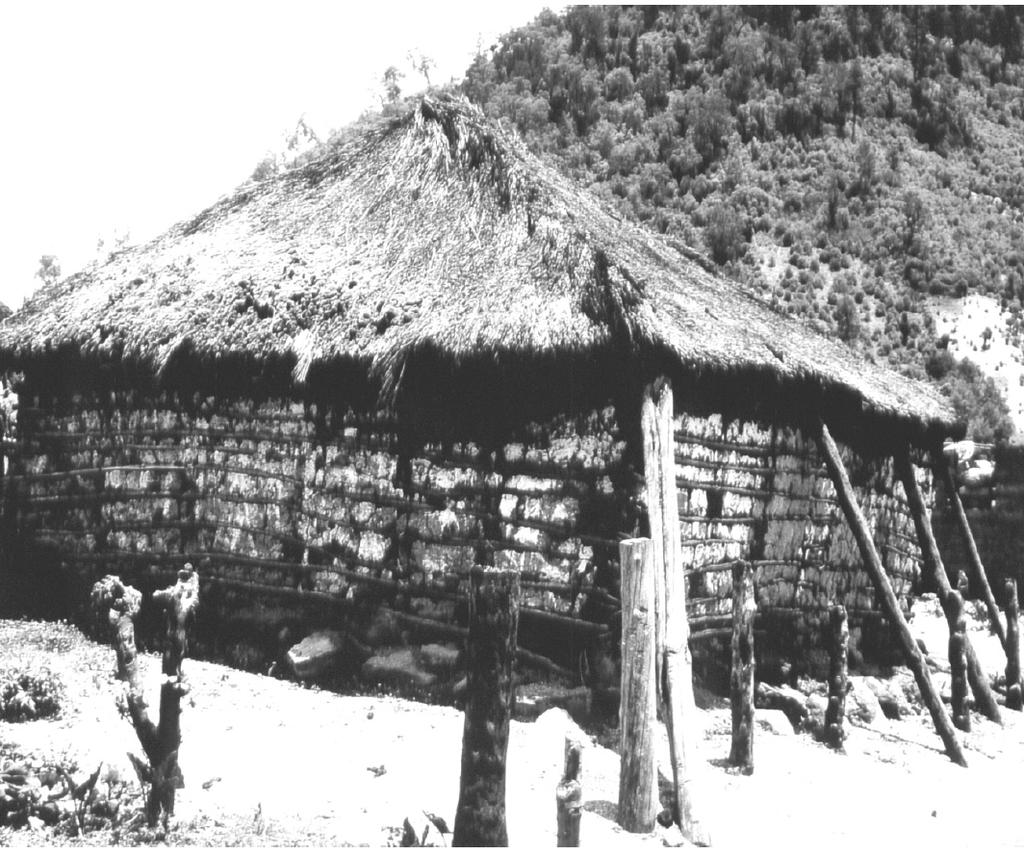 Fig. 1: Wattle and daub structure, after a heavy earthquake in Guatemala (Minke 2000) which withstood a heavy earthquake in Guatemala.