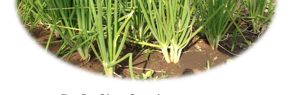 Rice hush for bioenergy, biochar and food security enhancement