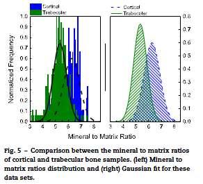 the distribution of modulus values or mineral density