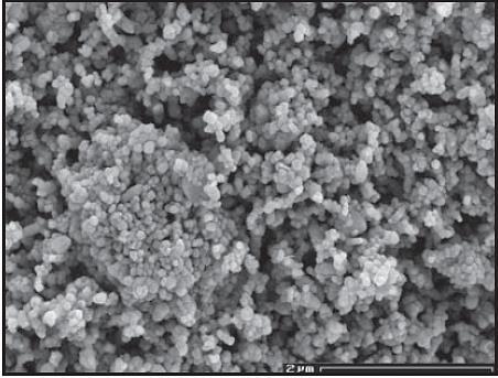 % pass Particle Size Distribution: More than d50 Matters (Example PCCs) 100 Treated PCC, PPS: 0.06 µm Treated PCC, PPS: 0.06 µm Treated PCC, PPS: 0.07 µm Treated PCC, PPS: 0.