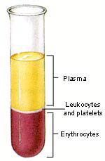 Whole blood is collected PRP Preparation Anti-coagulating agent is added (sodium citrate) Centrifuge separates blood components Spinning blood causes three layers Red blood cells, Buffy coat, Plasma