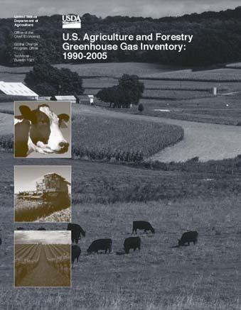 Decision and Technical Support Activities: US Agriculture and Forestry GHG Inventory Describes agriculture and forestry GHG emissions and sinks by: Year (1990 2005) Gas (CO2, CH4, N2O) Source and