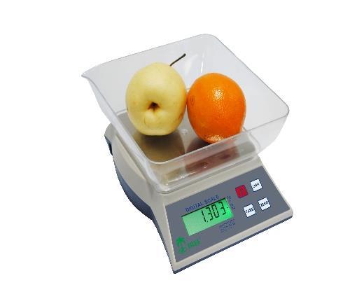 Weight Scale Construction &