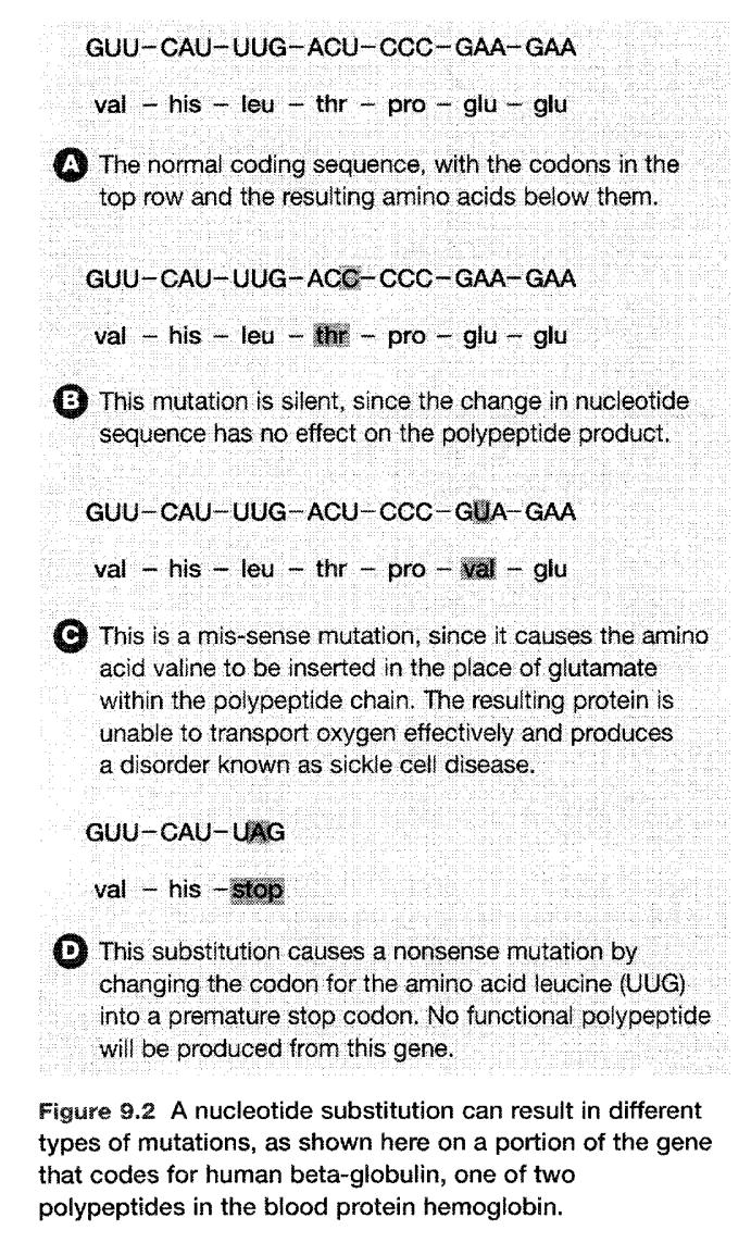 Mutations A mutation is any type of genetic change.