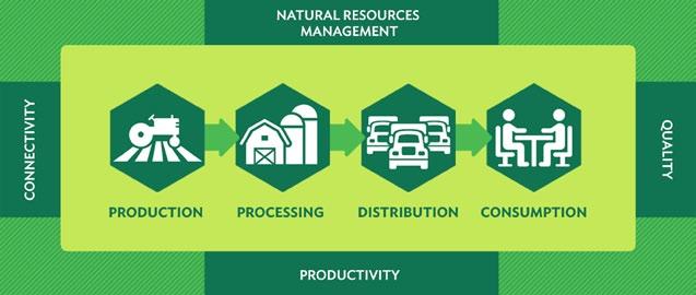 Toward Sustainable Food Security To meet current and future food demand (>60% increase by 2050), continuous research is needed to develop more productive (higher yielding) crops and livestock