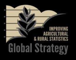 Strategy for Improving Agricultural and Rural Statistics in Africa