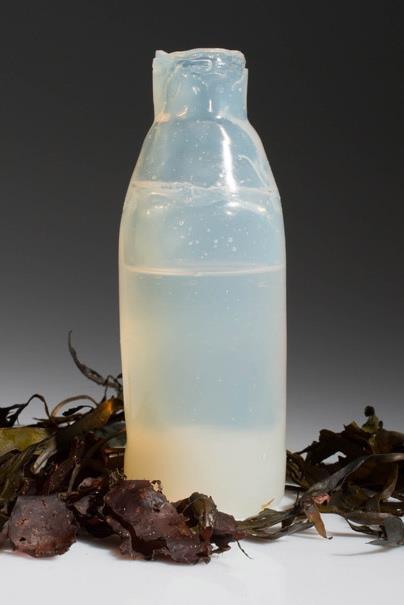 alternatives OTHERS Algae Bottle made of agar and water, frozen in shape, keeps shape until emptied.