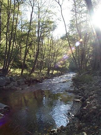 Carmel Creek